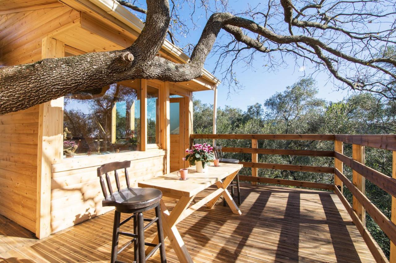 Romantic Tree House Kato Pavliana Extérieur photo