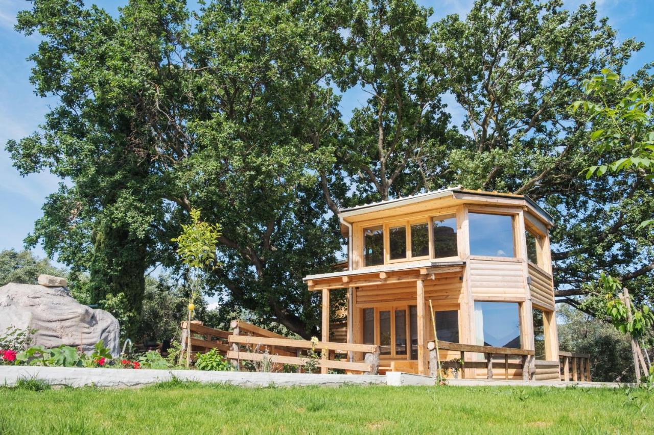 Romantic Tree House Kato Pavliana Extérieur photo